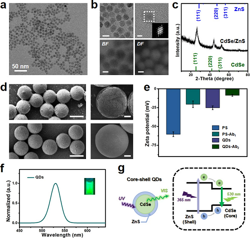 生物传感平台集成了量子点和微流控芯片及视觉算法麻将胡了试玩平台香港理工郝建华等：一种新型智能(图3)