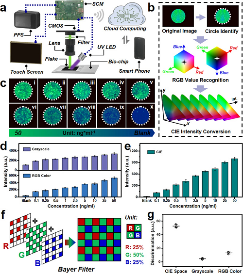 生物传感平台集成了量子点和微流控芯片及视觉算法麻将胡了试玩平台香港理工郝建华等：一种新型智能(图7)